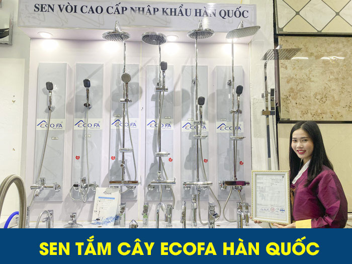 Sen Tam Cay Ecofa Han Quoc